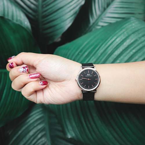 human person wearing round silver-colored analog watch wristwatch