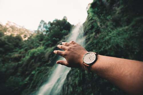 human person wearing watch wristwatch