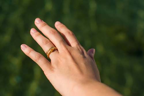 human person's hand wearing gold-colored ring finger