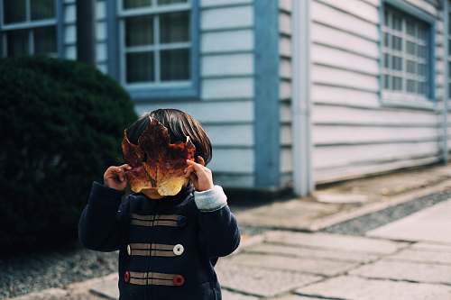 kid toddler covering his face with leaf human