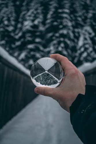 human Water Bubble austria