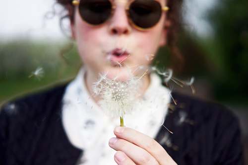 people woman blowing white dandelion flower human