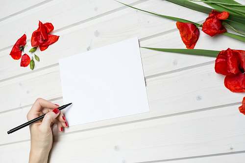people woman holding pen beside blank paper human