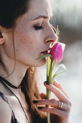 people woman holding pink rose bud human