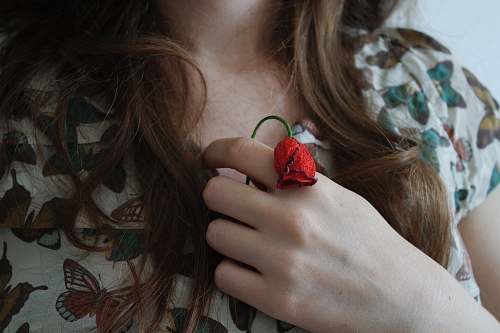 people woman holding red rose rose