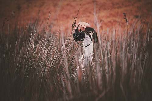 grass person holding Canon DSLR camera flora
