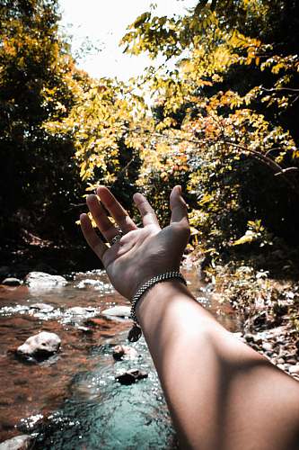 hand person's showing his left hand blossom