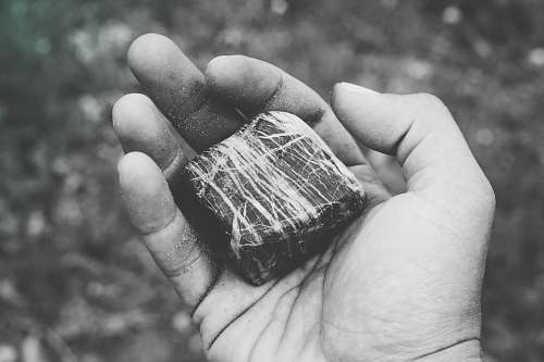 grey stone on person's hand stone