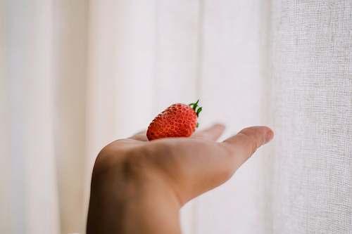 fruit strawberry fruit flora