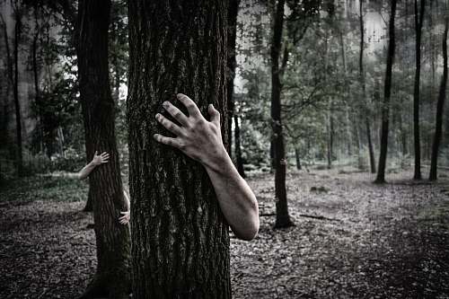 forest person hugging tree scary