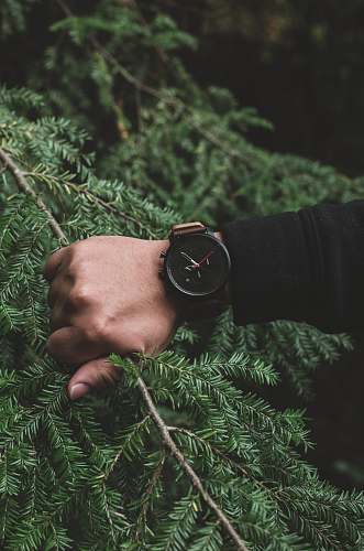 human round black analog watch person