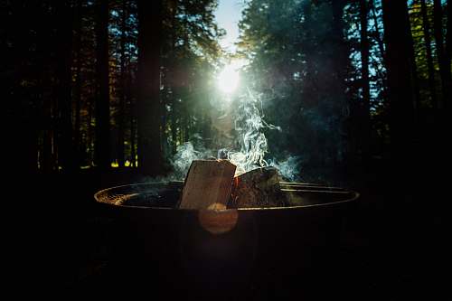 flare firewood light