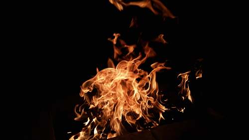 flame photo of flame blaze