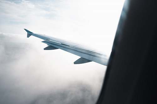airplane flying white plane wings transportation
