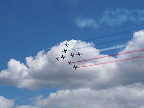 bird eight grey airplanes during daytime flying