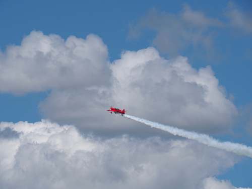 bird red biplane flying