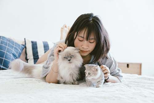 cat woman lying beside two kittens pet