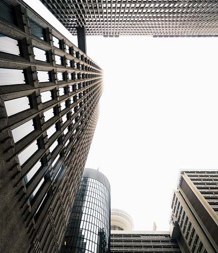 building bird'seye view photography of building skyscraper