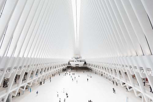 grey people gathering inside building the oculus