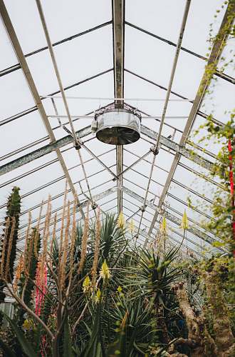 building plants inside room window