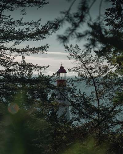 building white and red lighthouse near trees grey
