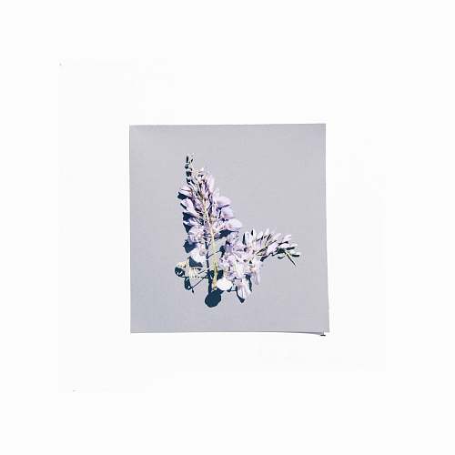 pottery purple-petaled flower porcelain