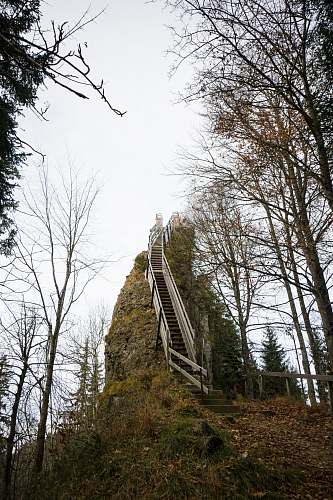 handrail gray and black stairs near trees during daytime switzerland