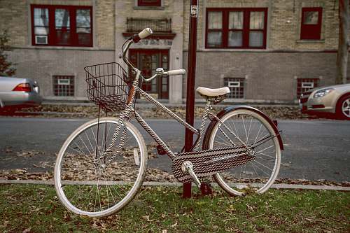 car gray bicycle on top grass and near road bike