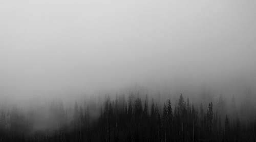 nature abstract painting fog