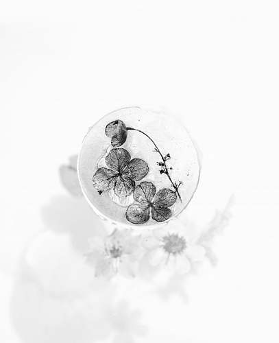 grey aerial photography of drinking glass white