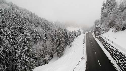 grey bird's-eye view photography of road with pine trees beside it switzerland