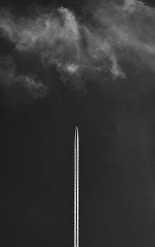 nature black and white floor lamp hungary