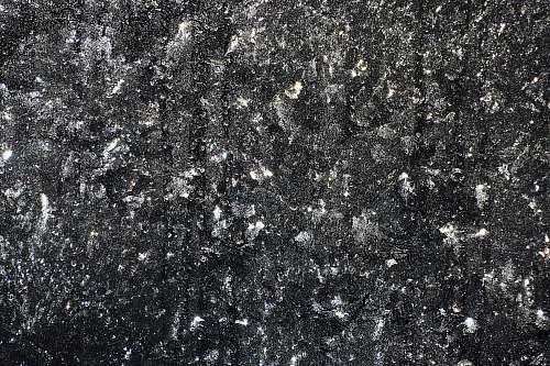 nature black and white floral textile grey