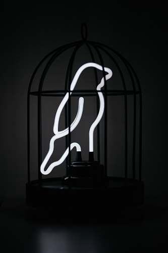 neon black birdcage and lighted bird decoir cage