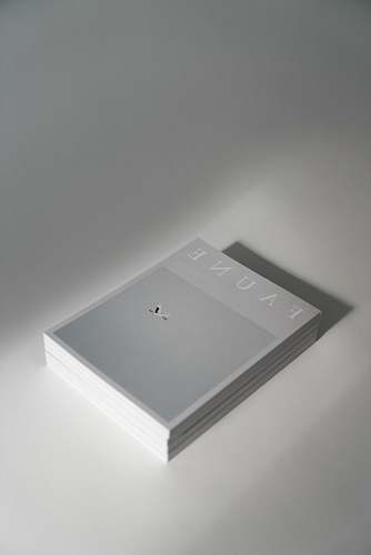 white Faune cards on desk text
