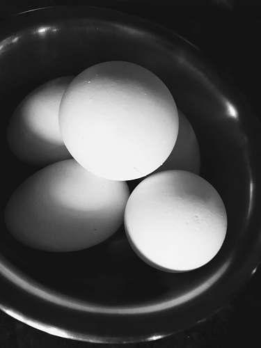 sphere five eggs in bowl food
