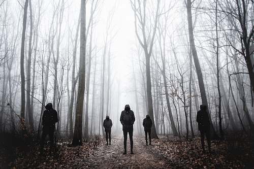 human five men wearing black hoodie standing on forest person