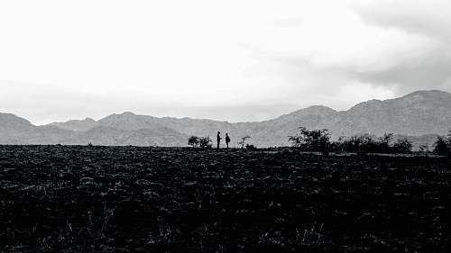 nature grascale photography of field and mountain outdoors