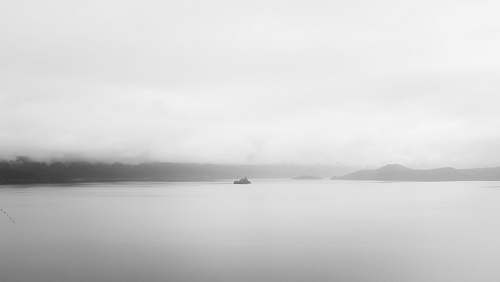 nature grayscale photo of a body of water fog