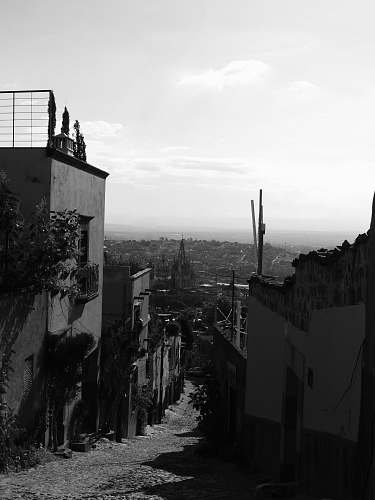 nature grayscale photo of alley between houses outdoors