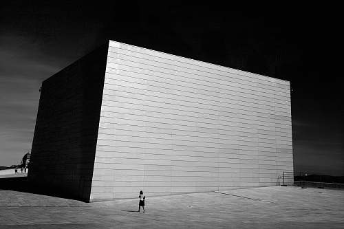 human grayscale photo of building and person walking beside person