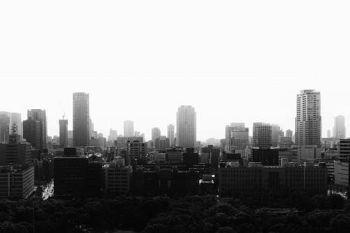 building grayscale photo of city buildings nature