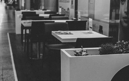 grey grayscale photo of empty restaurant tables restaurant