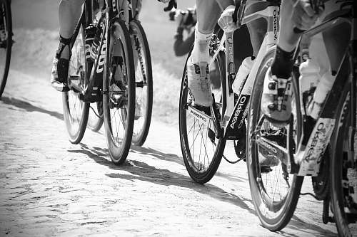 bike grayscale photo of people racing bikes bicycle