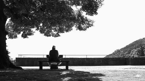 human grayscale photo of person sitting beside tree furniture
