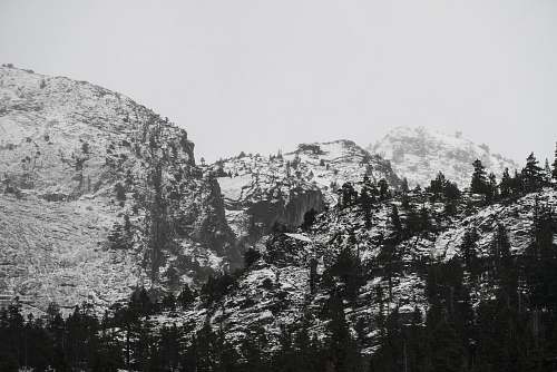grey grayscale photo of pine trees and mountain mountain