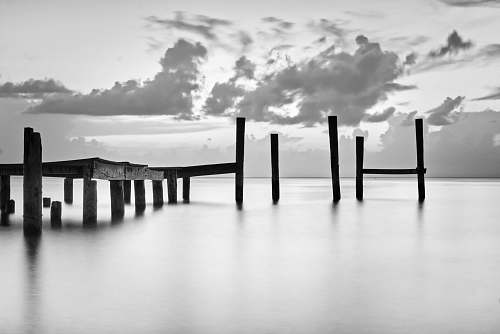 water grayscale photo of wooden dock waterfront