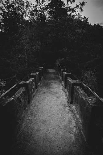 path grayscale photography of bridge ground