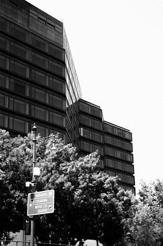 building grayscale photography of building near trees budapest