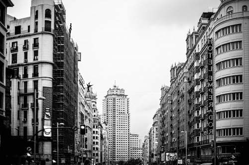 building grayscale photography of buildings urban